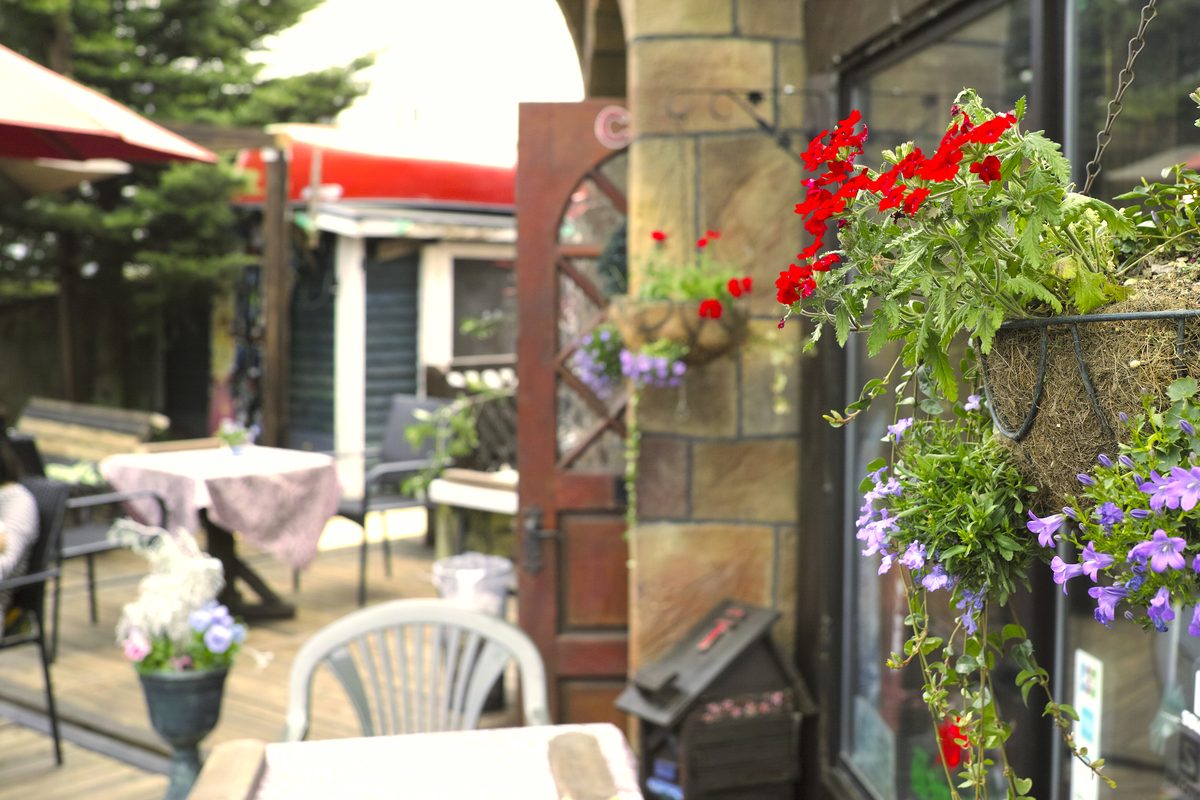 花が咲くテラスの入り口